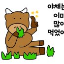 대광한우 이미지