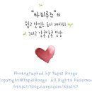 타피루즈 이미지
