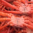 영덕대게식당 이미지