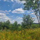 승마랜드 이미지