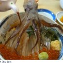 춤추는오징어