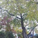 체육공원로399번길 이미지