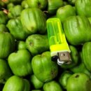 오광농장 이미지