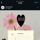 무투투 이미지