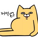 차이얀 이미지