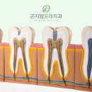 곤지암포레치과의원 이미지