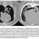 Evaluation of bronchial narrowing in coughing dogs with murmurs using CT 이미지