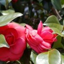 율하모아공인중개사사무소 이미지