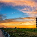 갯골생태공원 이미지