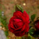 풍경(오월의 이야기 이미지