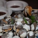 동국어패류 이미지