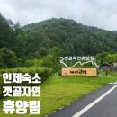 106 | 강원 인제 숙소, 갯골자연휴양림 106호 내돈내산 후기