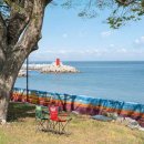 카누720애견풀빌라 이미지