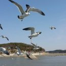 한국에니어그램교육연구소