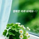 애틋한 그리움 이미지