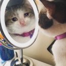 유앤아이의원 광주점 이미지