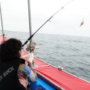 설악파인힐펜션 이미지