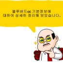 (주)블루버드시스템 이미지