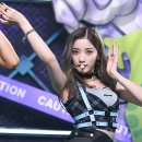 퍼플케이(purple k) 이미지