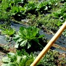 추억저장소 이미지