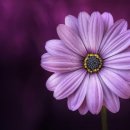 오산유치원 이미지