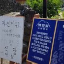 비양도 봄날 민박 이미지