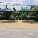 탄금유치원 | 키제코::모래소독::[3766째 후기]::충주탄금유치원 모래소독,코로나19방역