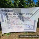 준이농장2 이미지