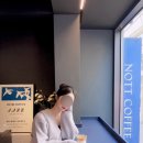 노트커피(NOTT COFFEE) | 홍대 합정 <NOTT COFFEE> ☕️ :커피에 진심인 곳/내돈내산 후기/홍대입구역 데이트,가볼만한 곳