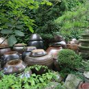 옹기민속박물관 이미지