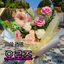 로즈 | 오산 향기로운 감성 꽃집 오로즈 꽃다발 후기