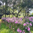 동산 아시아경제