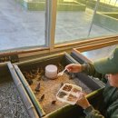 우리소농장 | [강릉 아이랑 가볼만한 곳] 대관령 아기동물농장 방문후기