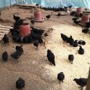 원스농장 이미지