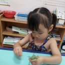 로즈마리 수경 재배 하기 이미지