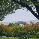현대휘트니스센터 | 경주 가족여행 숙소 힐튼호텔 경주 / 디럭스 패밀리 스위트 / 조식, 수영장,피트니스 센터 후기