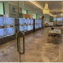 도그마루 강아지고양이 인천논현점 이미지