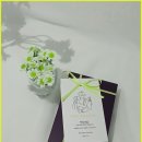 달빛소풍 | 서울 영등포구 스틱꿀 가격 가이드와 달빛꿀향 아카시아 꿀스틱 후기