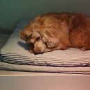 개편한 미용# 이미지