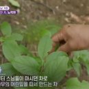 동네한바퀴 티스토리