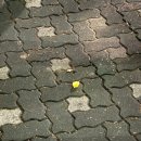 안산푸른약국 | 7월, 휴일도 체력도 ⚠️ 404 Not Found