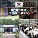 놀고팡 | 제주도 액티비티 실내 실외 제주 놀거리 편백포레스트 ATV