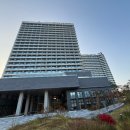 수평선모텔 | 강릉 신라모노그램 강릉 호텔 호캉스 추천 수영장 객실 조식 미니바 후기