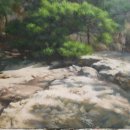 바위와소나무 이미지