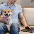 위즈동물병원 이미지