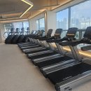 디렉스 런닝머신, 천국의계단(DSC6 / DSC6X), 무동력트레드밀, 마이마운틴 저렴하게 판매합니다. 이미지