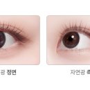 다비치안경 신촌기차역점 네이버블로그
