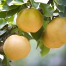 헤아림한의원 이미지