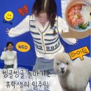 목마다방 | 빙빙 돌아가는 회전목마처럼 나도 빙빙 돌 것 같애