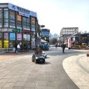 모할고양